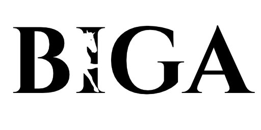 BIGAGAMES EOOD